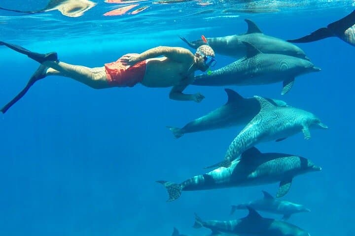Hurghada Dolphin House VIP: Luxury Yacht Snorkeling with Wild Dolphins photo 2