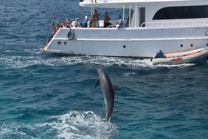 Hurghada Dolphin House VIP: Luxury Yacht Snorkeling with Wild Dolphins photo 6
