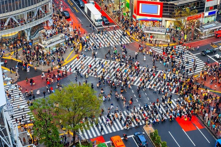 Best of Tokyo: Afternoon Small-Group Tour to Meiji Shrine, Harajuku & Shibuya photo 6