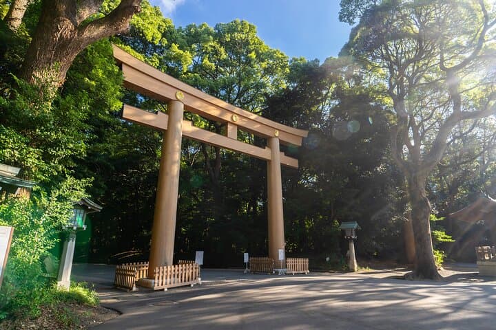 Best of Tokyo: Afternoon Small-Group Tour to Meiji Shrine, Harajuku & Shibuya photo 3