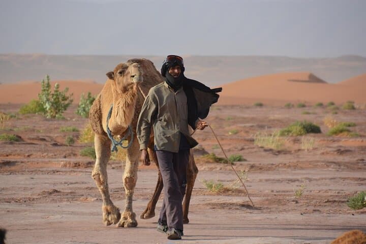 4-Day Fes to Sahara Desert Tour — Erg Chebbi Camels, Todra Gorges & Ait Benhaddou photo 3