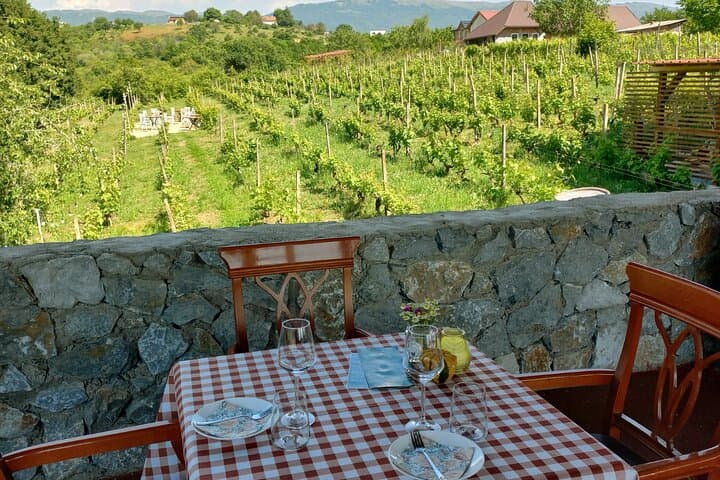 S&S Winery Wine Tasting Experience — Wine, Brandy & Lake Ohrid Views photo 3