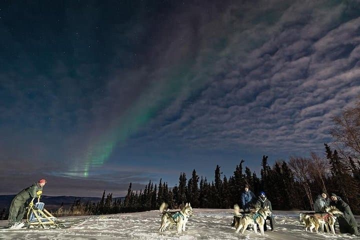 Dog Sledding and Northern Lights in Fairbanks: Night Combo Tour photo 1