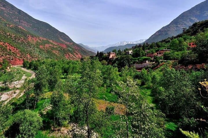 Ourika Valley Day Trip from Marrakech — Guided Waterfall Hike & Berber Villages photo 5