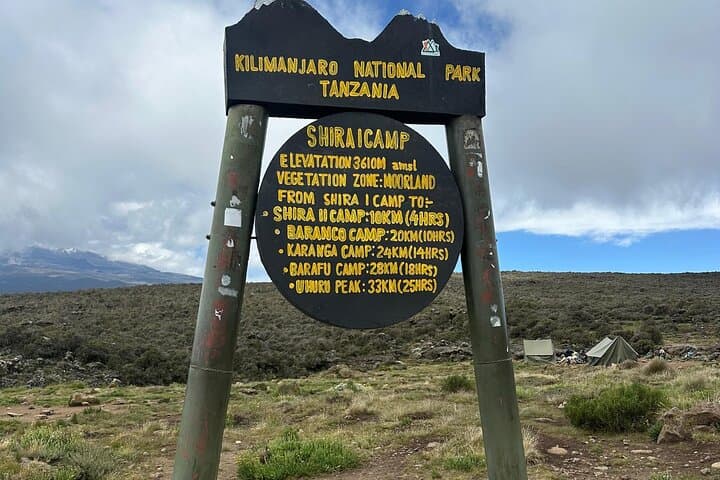 Day Trek to Kilimanjaro’s Shira Plateau via the Lemosho Route