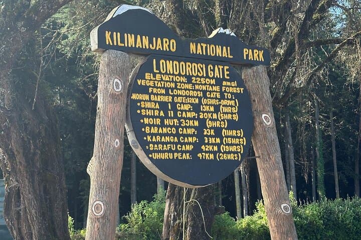 Day Trek to Kilimanjaro’s Shira Plateau via the Lemosho Route photo 2