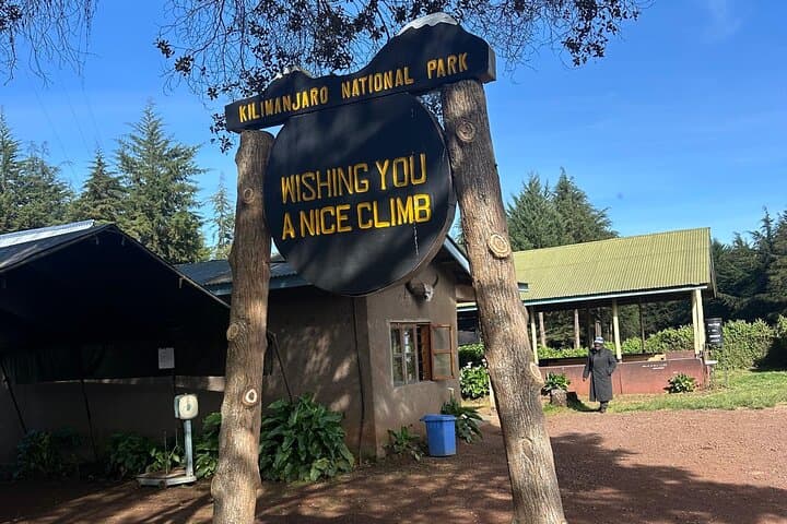 Day Trek to Kilimanjaro’s Shira Plateau via the Lemosho Route photo 3