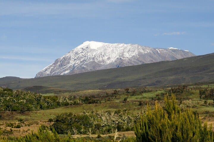 Day Trek to Kilimanjaro’s Shira Plateau via the Lemosho Route photo 5
