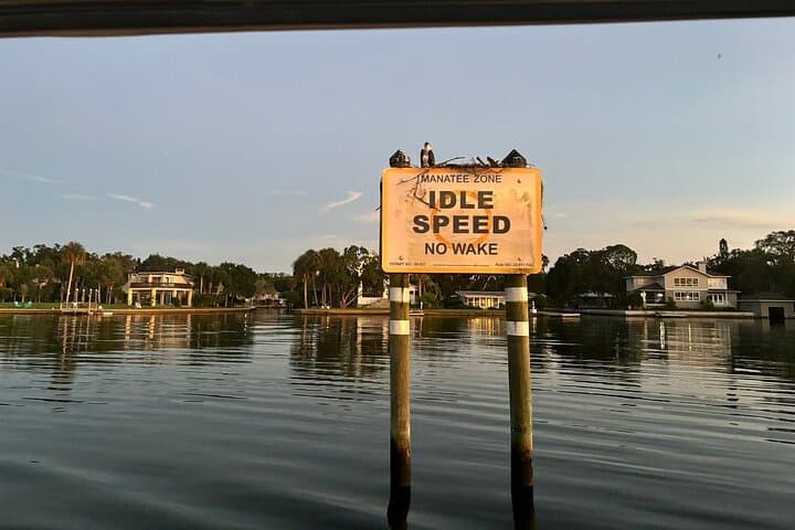 Kings Bay Manatee Watching Cruise — Scenic Covered Boat Tour in Crystal River photo 5