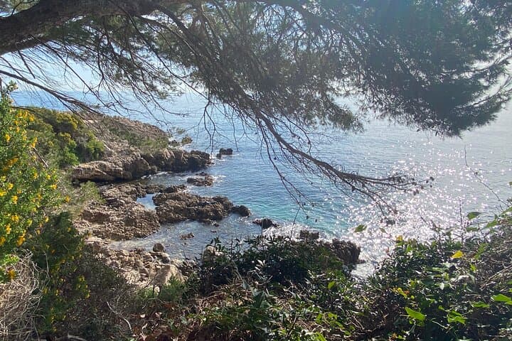 Private Tour from Cannes: Customize Antibes, St.-Paul-de-Vence & Nice photo 6