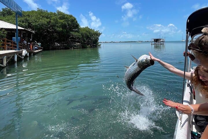 Half-Day Island Snorkel: Stingrays, Sharks & Tarpon Feeding (3 hrs) photo 4