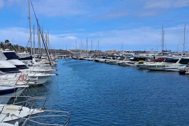 Sunset Dolphin Watching Cruise in Gran Canaria — Small-Group Eco Tour photo 3
