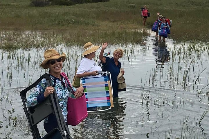 Masonboro Island Cruise: Wrightsville Beach Shorebird & Dolphin Tour photo 2