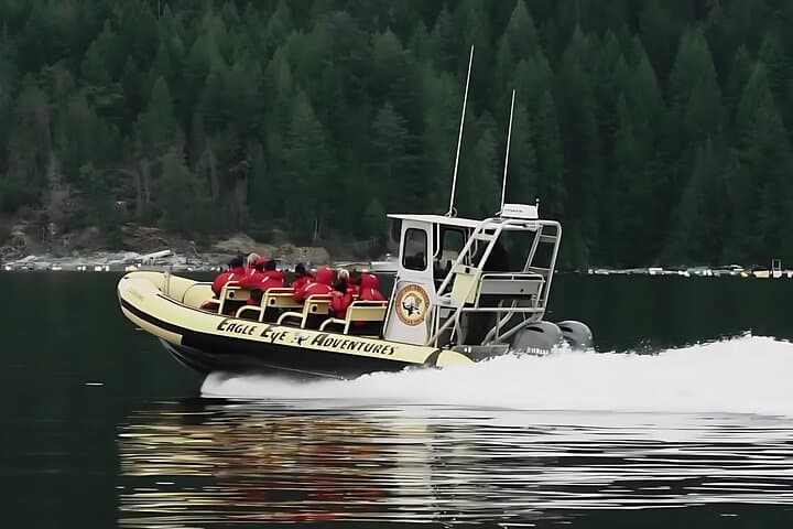 Campbell River Whale Watching: 6-Hour Wildlife Cruise with Lunch
