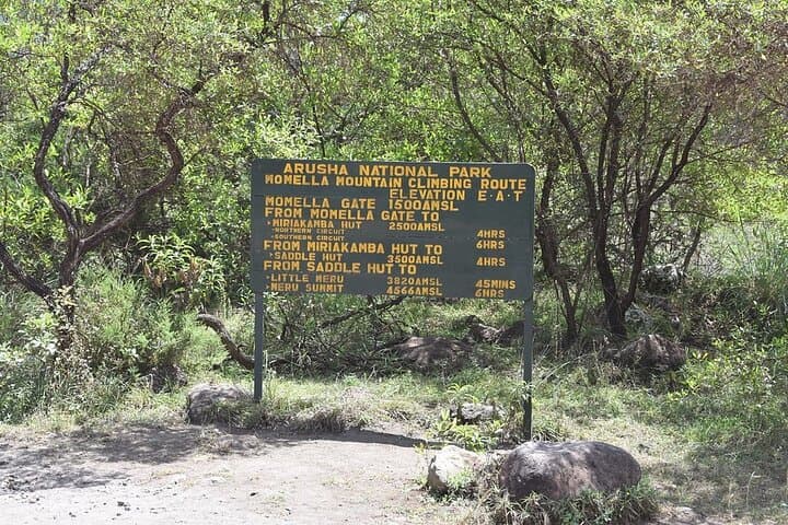 4-Day Mount Meru Hike — Scenic Kilimanjaro Acclimatization Trek photo 4