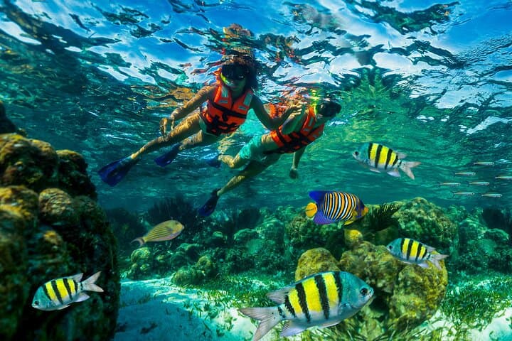 Puerto Morelos Reef Snorkel from Cancun with Beachside Lunch