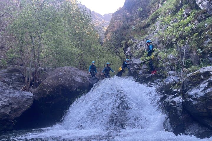 Madeira Canyoning: Curral das Freiras Level 2 — 8 Rappels, Jumps & 18m Waterfall photo 4