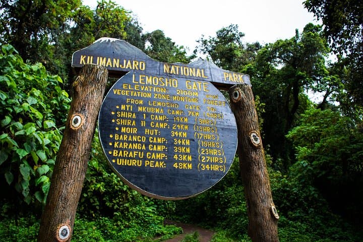 Lemosho Route: 8-Day Kilimanjaro Trek to Uhuru Peak