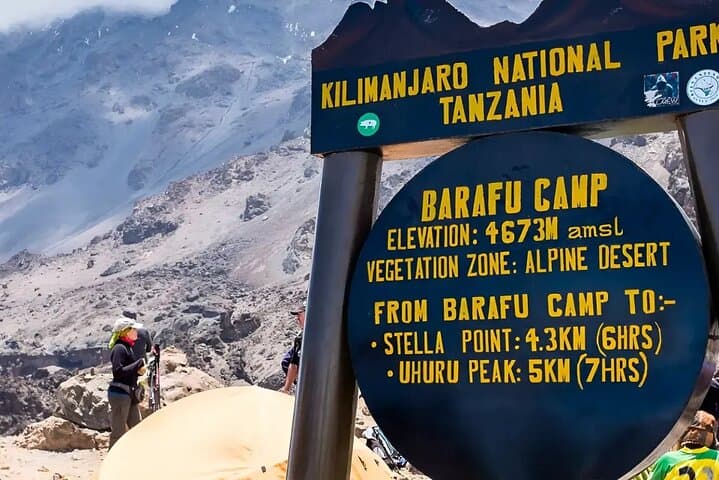 Lemosho Route: 8-Day Kilimanjaro Trek to Uhuru Peak photo 2