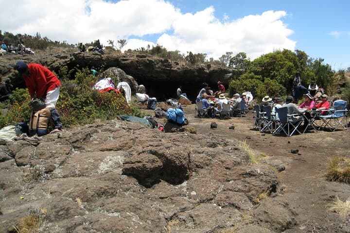 Lemosho Route: 8-Day Kilimanjaro Trek to Uhuru Peak photo 4