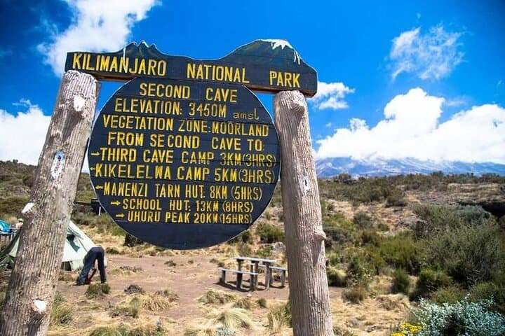 Lemosho Route: 8-Day Kilimanjaro Trek to Uhuru Peak photo 5