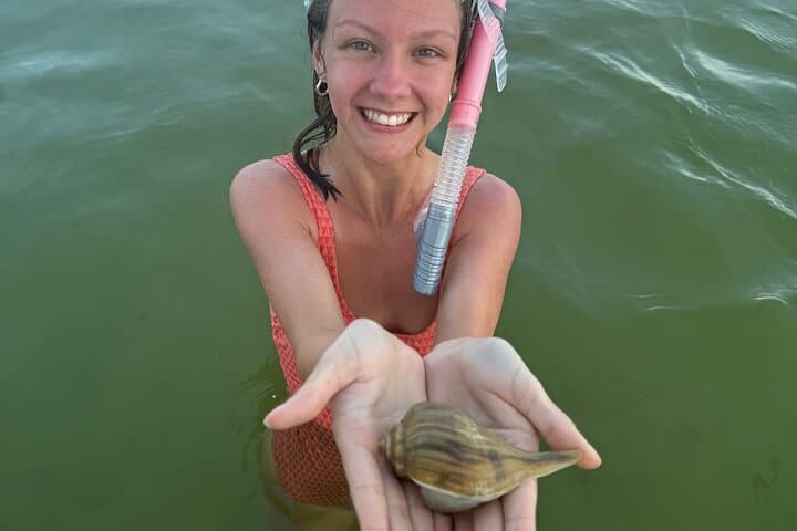Private Dolphin Swim and Snorkeling Tour — Panama City Beach Gulf Adventure photo 4