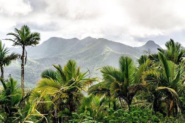 East Puerto Rico Hidden Gems: Self-Guided Map for Beaches, Rivers & Caves photo 5