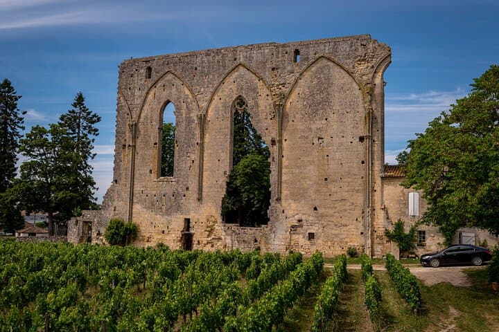 E-Bike Through Saint-Émilion: Full-Day Wine Tour from Bordeaux photo 3