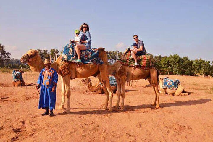 Camel Ride in Agadir — Aghroud Dunes & Souss River Wildlife Experience photo 3