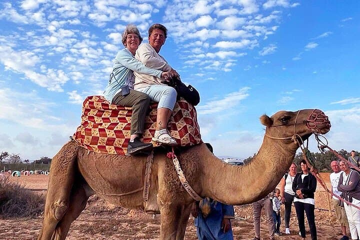 Camel Ride in Agadir — Aghroud Dunes & Souss River Wildlife Experience