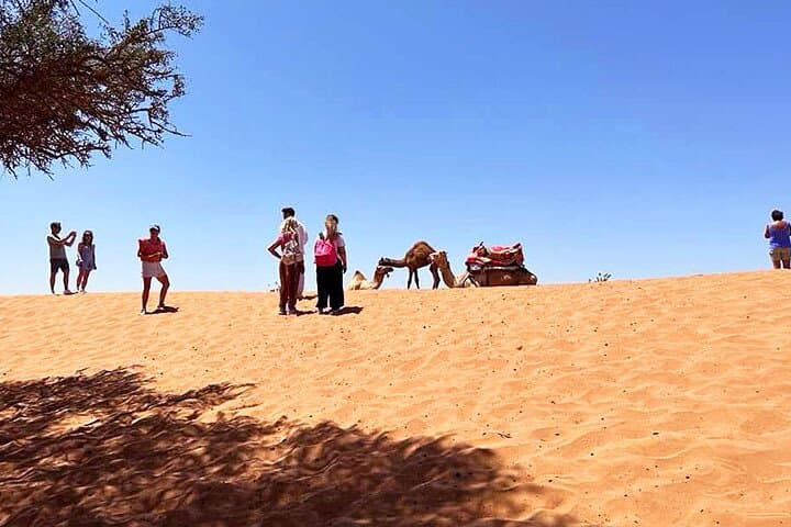 Camel Ride in Agadir — Aghroud Dunes & Souss River Wildlife Experience photo 4