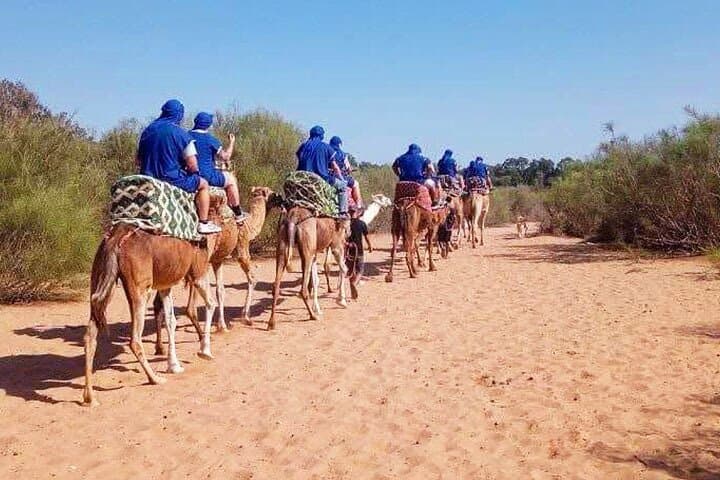 Camel Ride in Agadir — Aghroud Dunes & Souss River Wildlife Experience photo 2