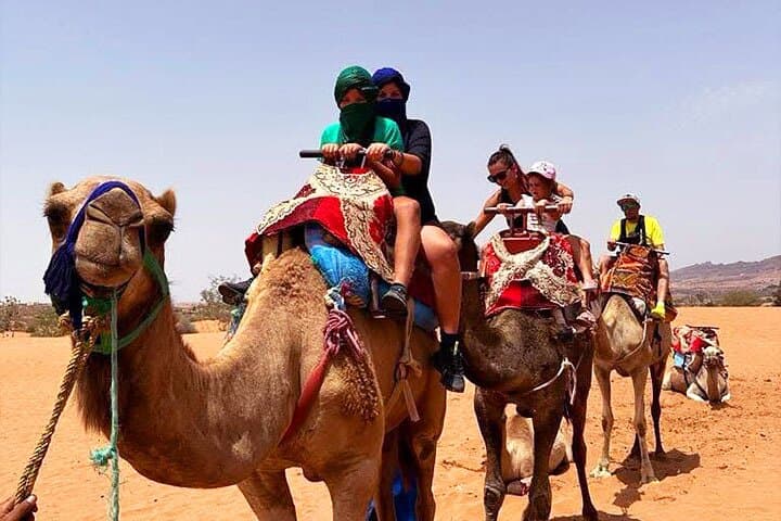 Camel Ride in Agadir — Aghroud Dunes & Souss River Wildlife Experience photo 5