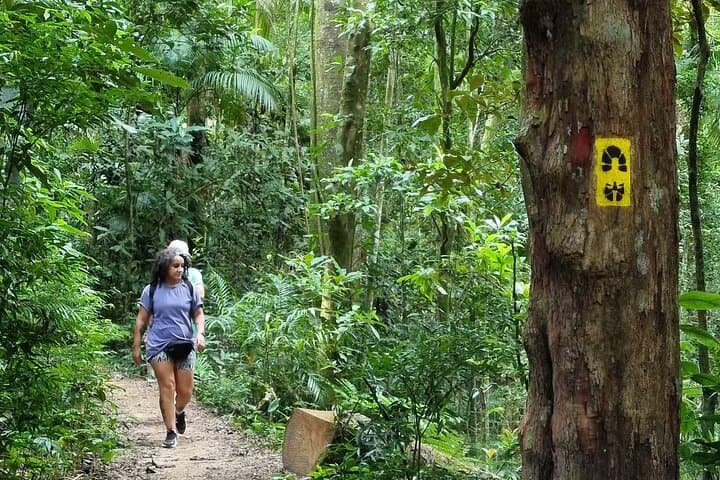 Hiking to Christ the Redeemer: Corcovado & Tijuca Forest Trek Guide photo 5