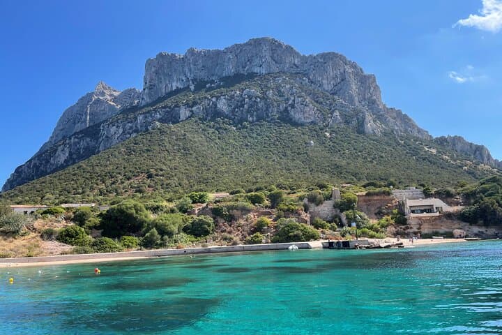 Tavolara Archipelago Dinghy Excursion from Cala Suaraccia photo 4