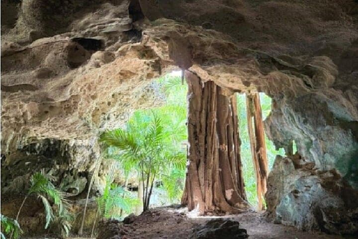 Stingrays, Starfish & Crystal Caves Tour — Grand Cayman Day Trip photo 2