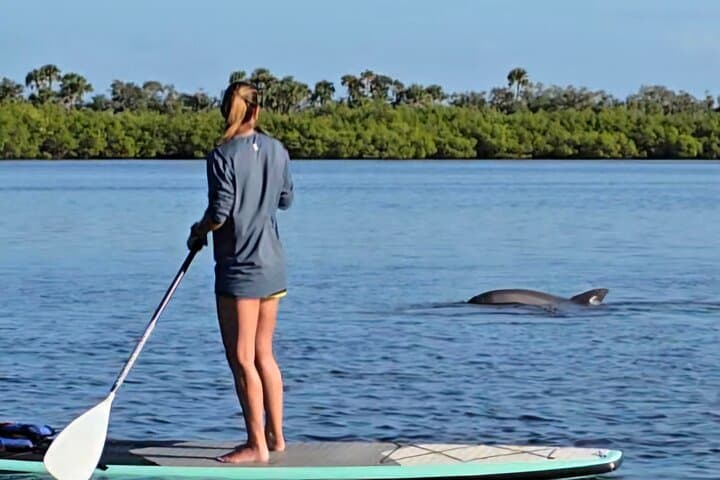 Paddling Mosquito Lagoon: Guided Wildlife Kayak Tour from Edgewater