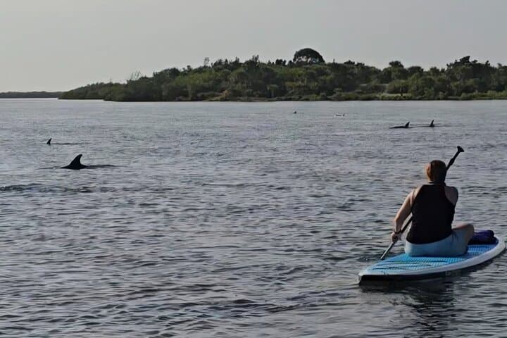 Paddling Mosquito Lagoon: Guided Wildlife Kayak Tour from Edgewater photo 2