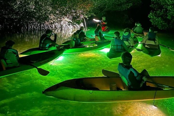 Key West Night Kayak: Glass-Bottom LED Fish-Feeding Tour