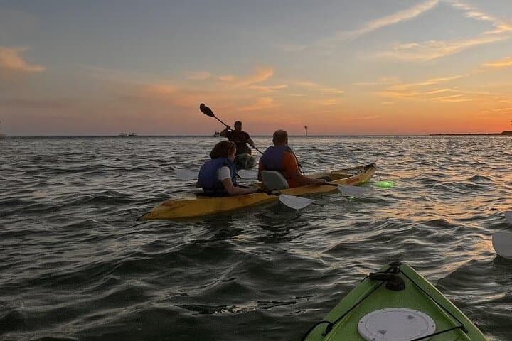 Key West Night Kayak: Glass-Bottom LED Fish-Feeding Tour photo 2