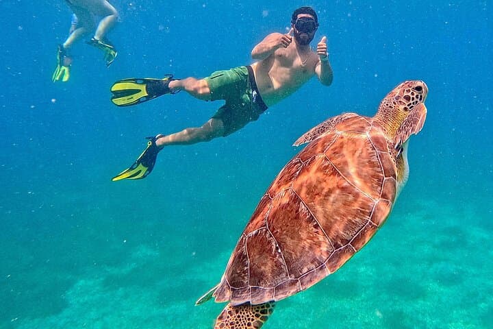 Culebra Day Trip: Swim with Turtles and Flamenco Beach Ferry Adventure