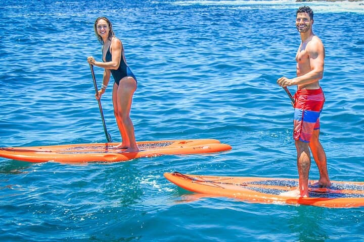Underwater Wonders Snorkeling Adventure at Land's End, Cabo San Lucas photo 4