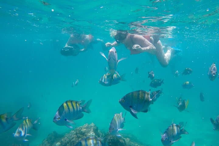 Underwater Wonders Snorkeling Adventure at Land's End, Cabo San Lucas photo 1