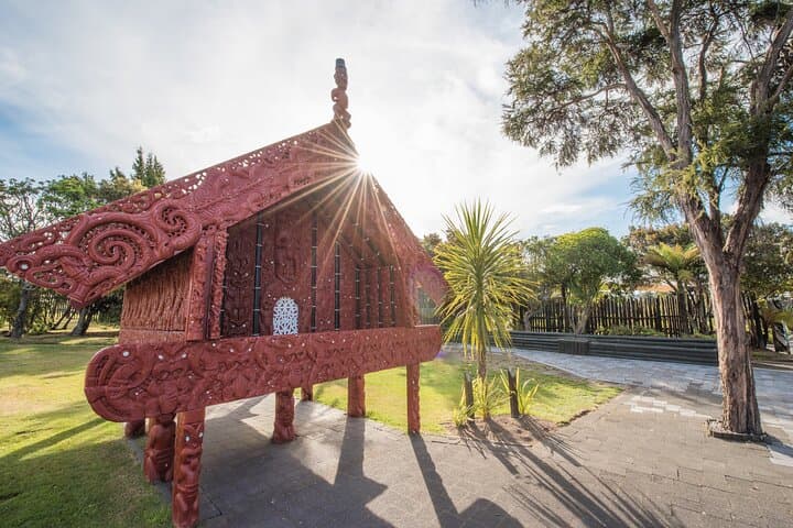 Rotorua Afternoon Te Puia Tour — Māori Culture, Pohutu Geyser & Kiwi House photo 6