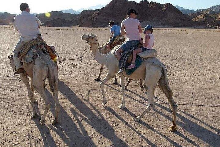 Private Luxor City Tour: Camel Ride & One-Hour Nile Boat Trip photo 4
