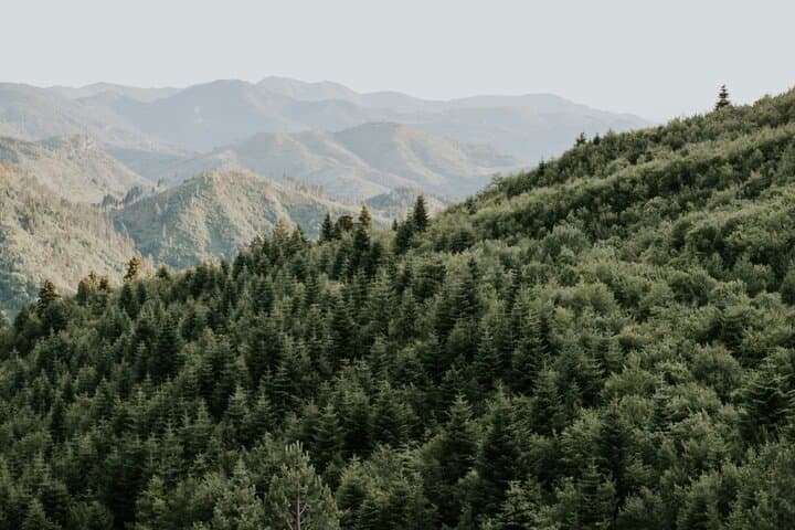 Wild Tracks: Off-Road 4x4 Adventure in Korçë's Morava Mountains photo 2
