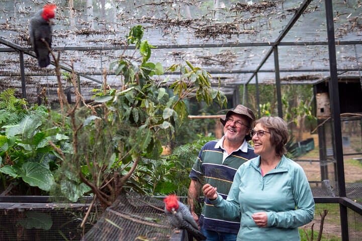 Eden to Merimbula: Wetlands, Wildlife and Coastal Sights on the Sapphire Coast photo 3