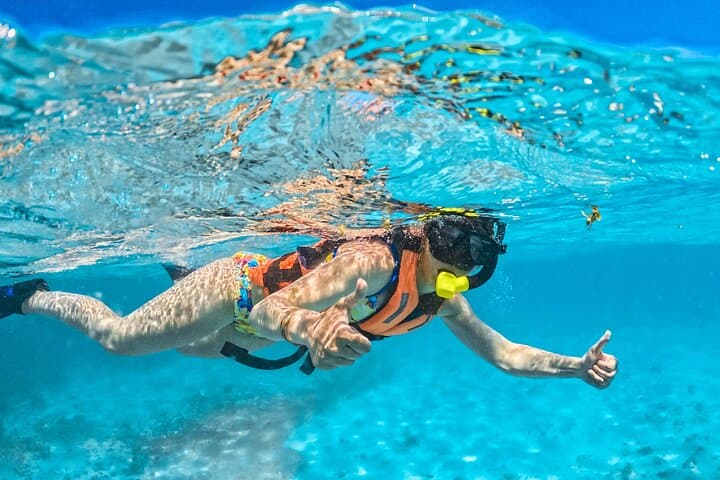 Private Isla Contoy & Isla Mujeres Snorkel Tour from Playa del Carmen photo 5