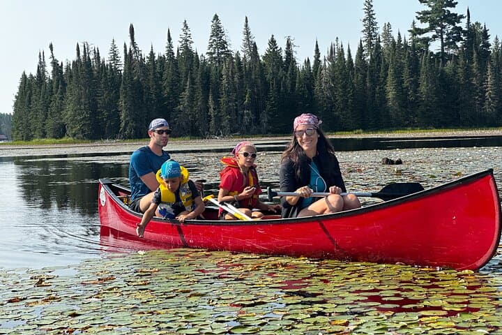 1-Day Canoe Tour in Algonquin Park — Paddle, Portage & Wildlife