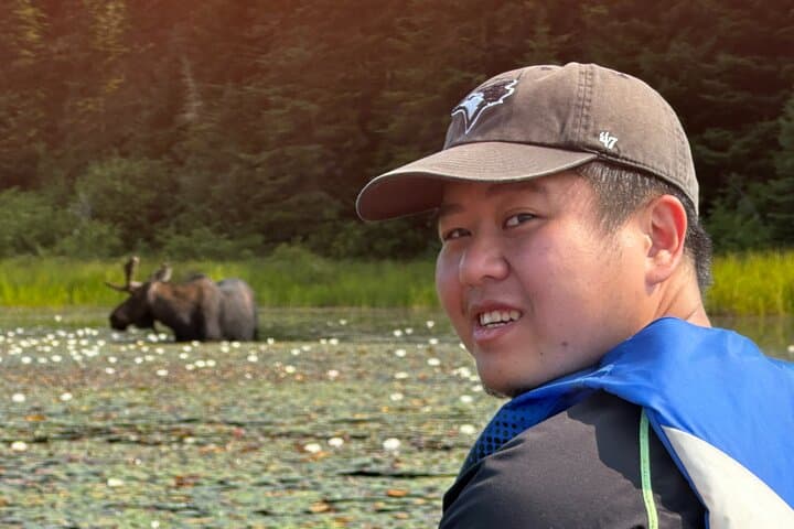 1-Day Canoe Tour in Algonquin Park — Paddle, Portage & Wildlife photo 3